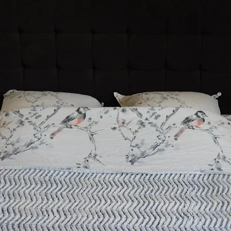 Accommodatie bij particulieren Casa Del Castell